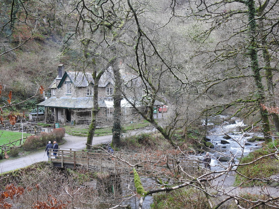 Watersmeet House - Natalia Harries