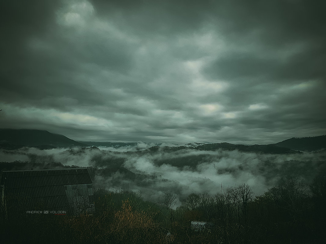 Туман - Андрей Володин