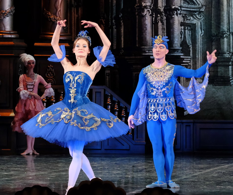 Балет "Спящая красавица". Принцесса Флорина и Синяя птица - Валерий Судачок