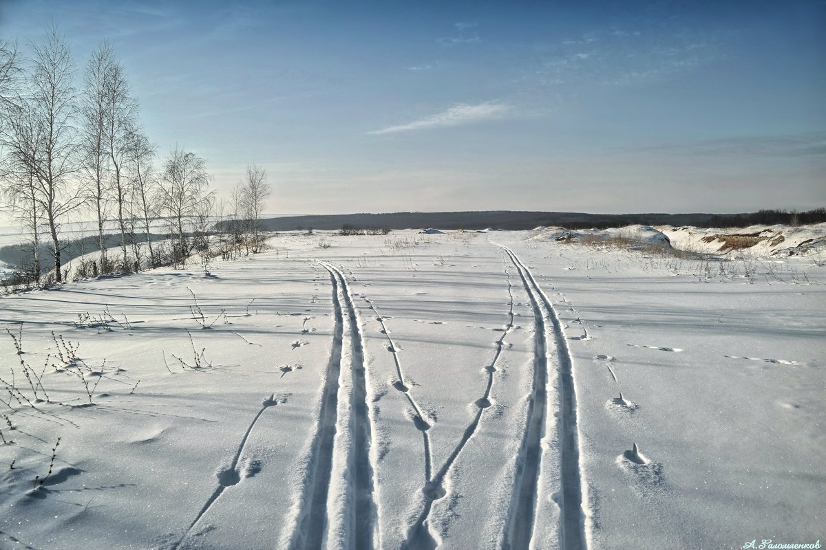На лыжне февраля.. - Андрей Заломленков