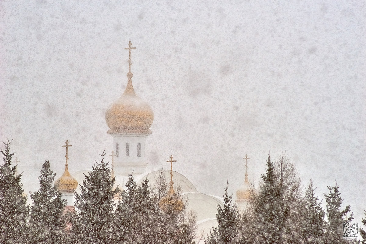 Снег... повсюду снег ❄ - Владислав Левашов