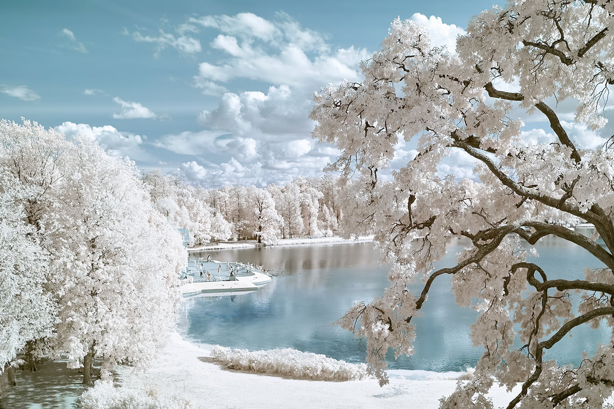 Pushkin infrared - dp_tula 