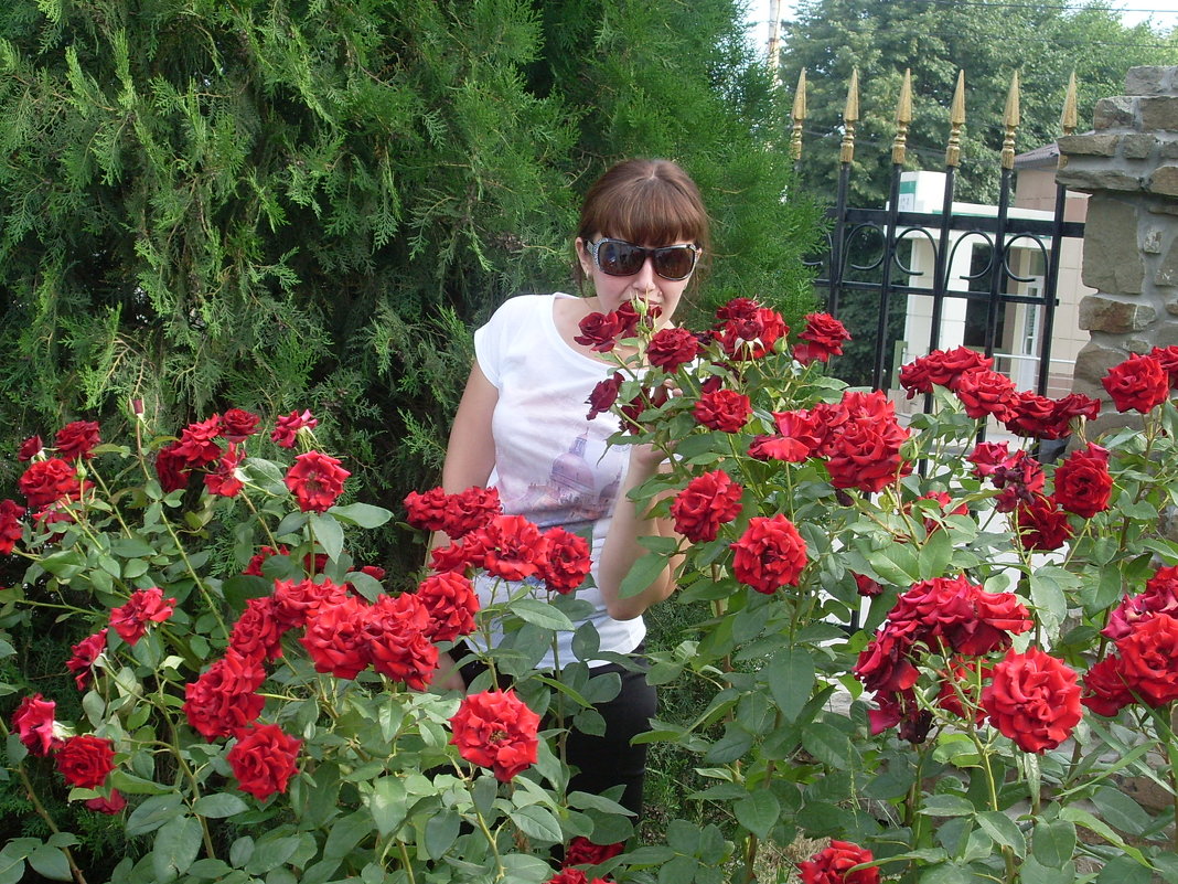 Марина среди роз. - Нина Акарцева 