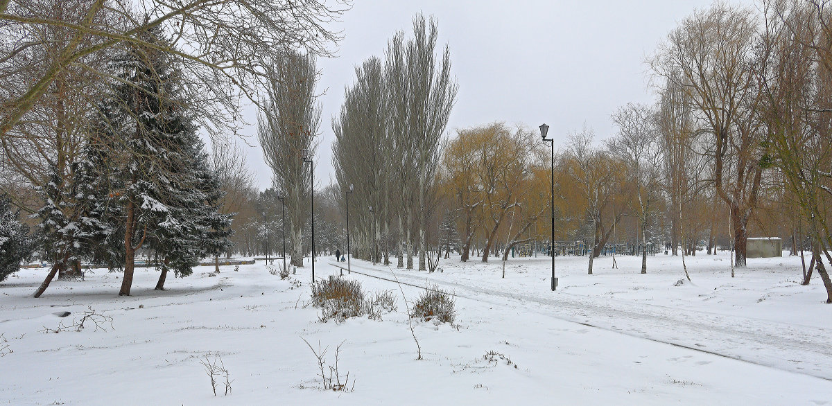 Зимняя унылость парковых аллей - Юрий Яловенко