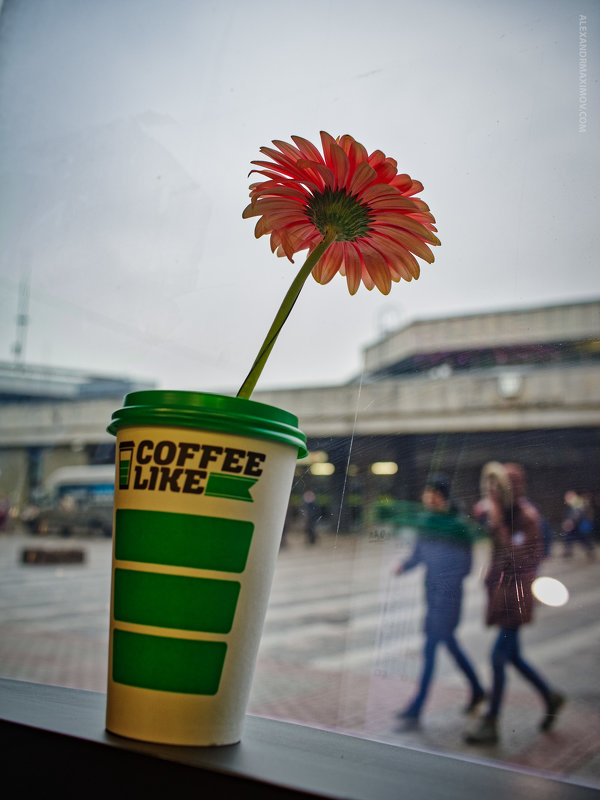 Кофе и цветок - Александр Максимов
