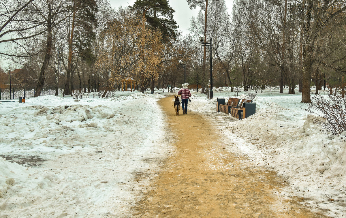 Пргулки в Зимнем Парке - юрий поляков