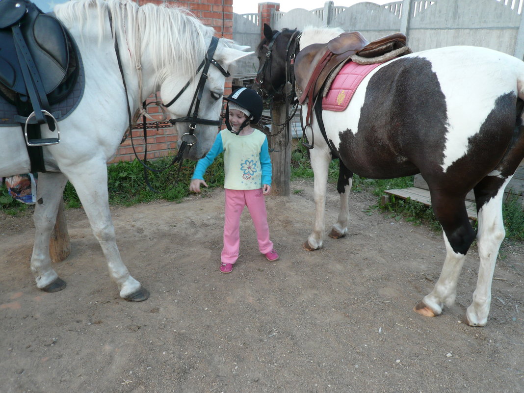 какую лошадь-то выбрать? - Юлия Ошуркова