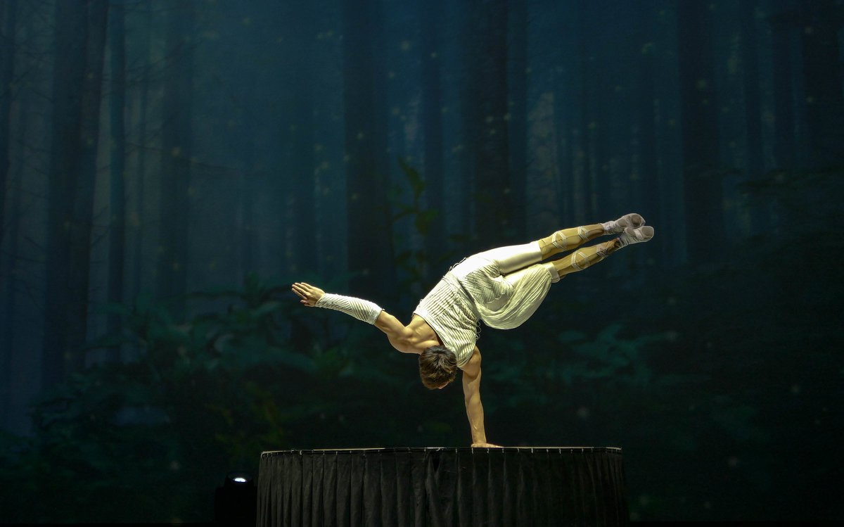 Китайский гимнаст в такой стойке менял положение своего тела.... - Юрий Поляков