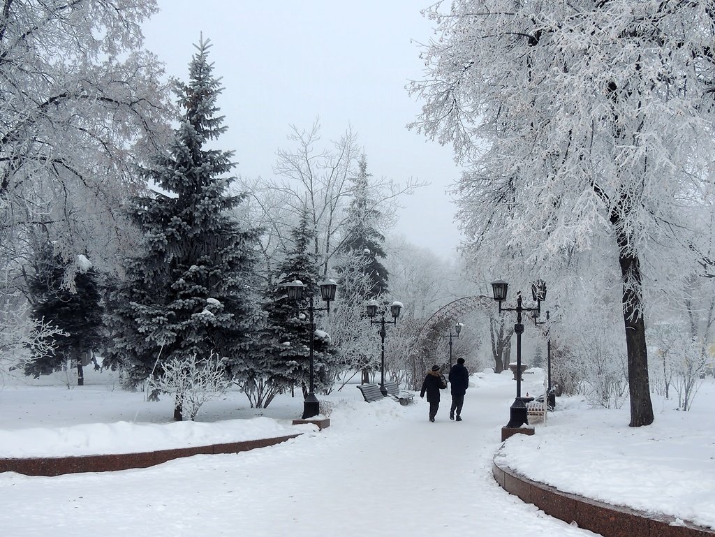 Зимний парк - Роман Савоцкий