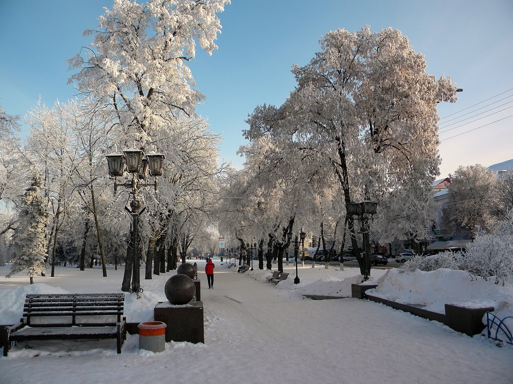 Зимний парк - Роман Савоцкий