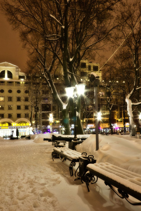 Петровский сквер ночью - Валерьян 