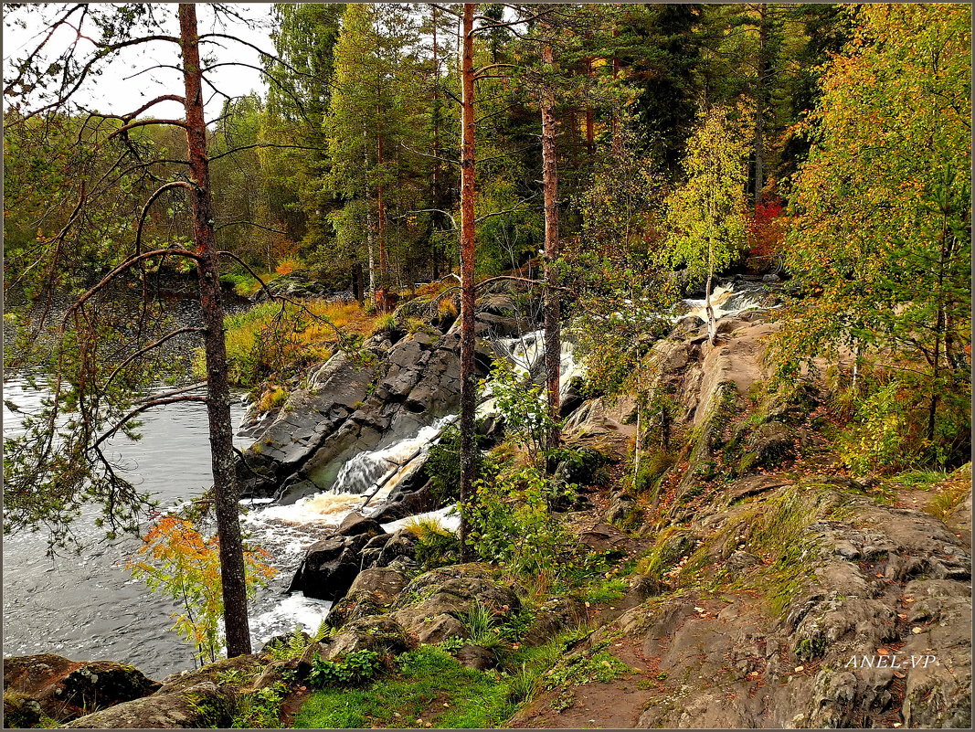 Водопад Ахвенкоски - Елена (ANEL-VP) .