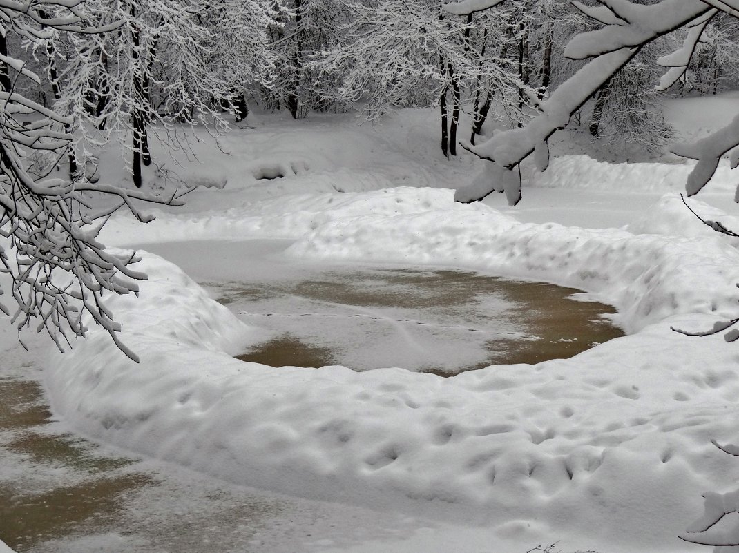 лесное озеро под снегом - Валентина. .