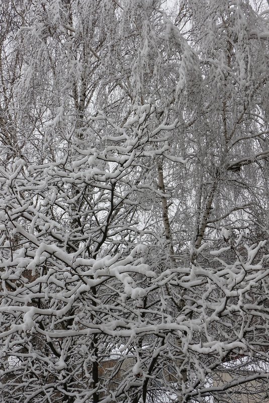 Зима сказала, что 2 марта это не весна - Надежд@ Шавенкова