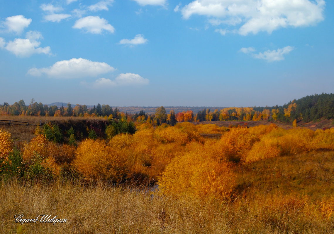 Осень в русле сибирской реки - Сергей Шаврин