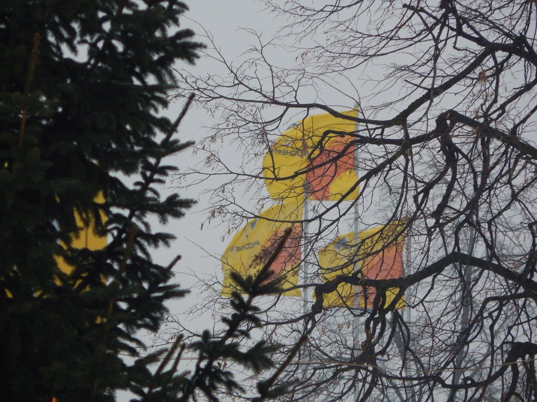 жёлтые флаги - Alisa Koteva 