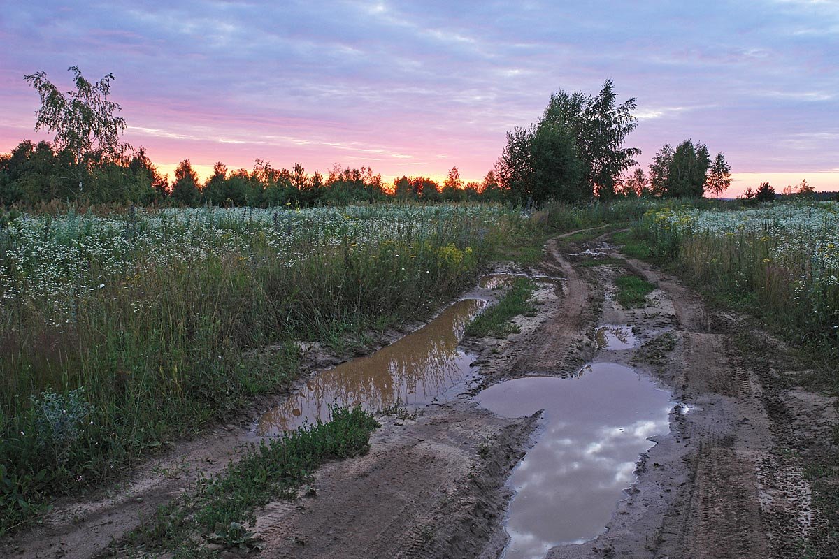 После грозы - Сергей Курников