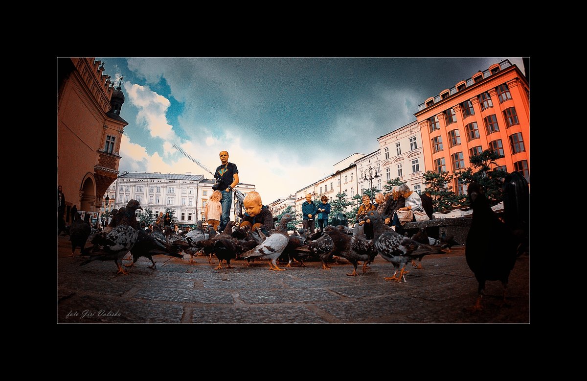 кормление голубей в кракове на площади - Jiří Valiska
