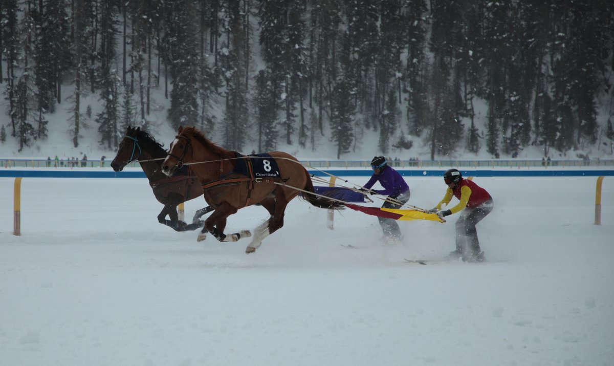 Скачки на льду White Turf Санкт-Мориц - Andrey Vaganov