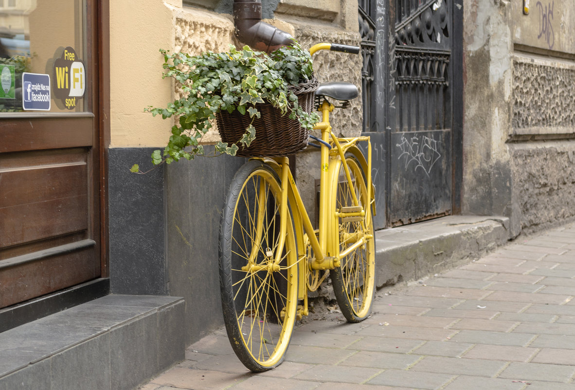 Жёлтый велосипед ...) - Светлана Мельник