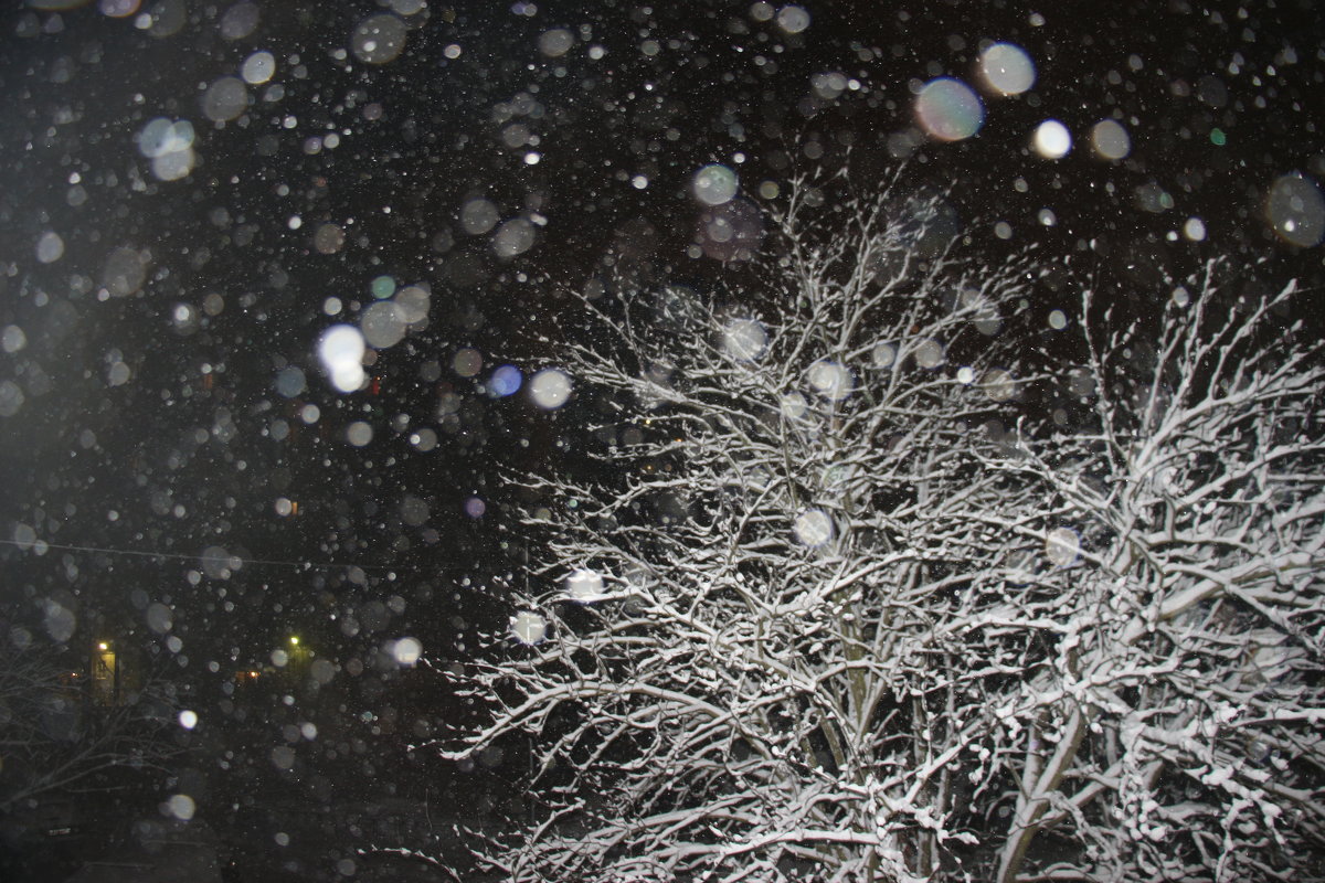 Ночной снегопад - Наталья Герасимова