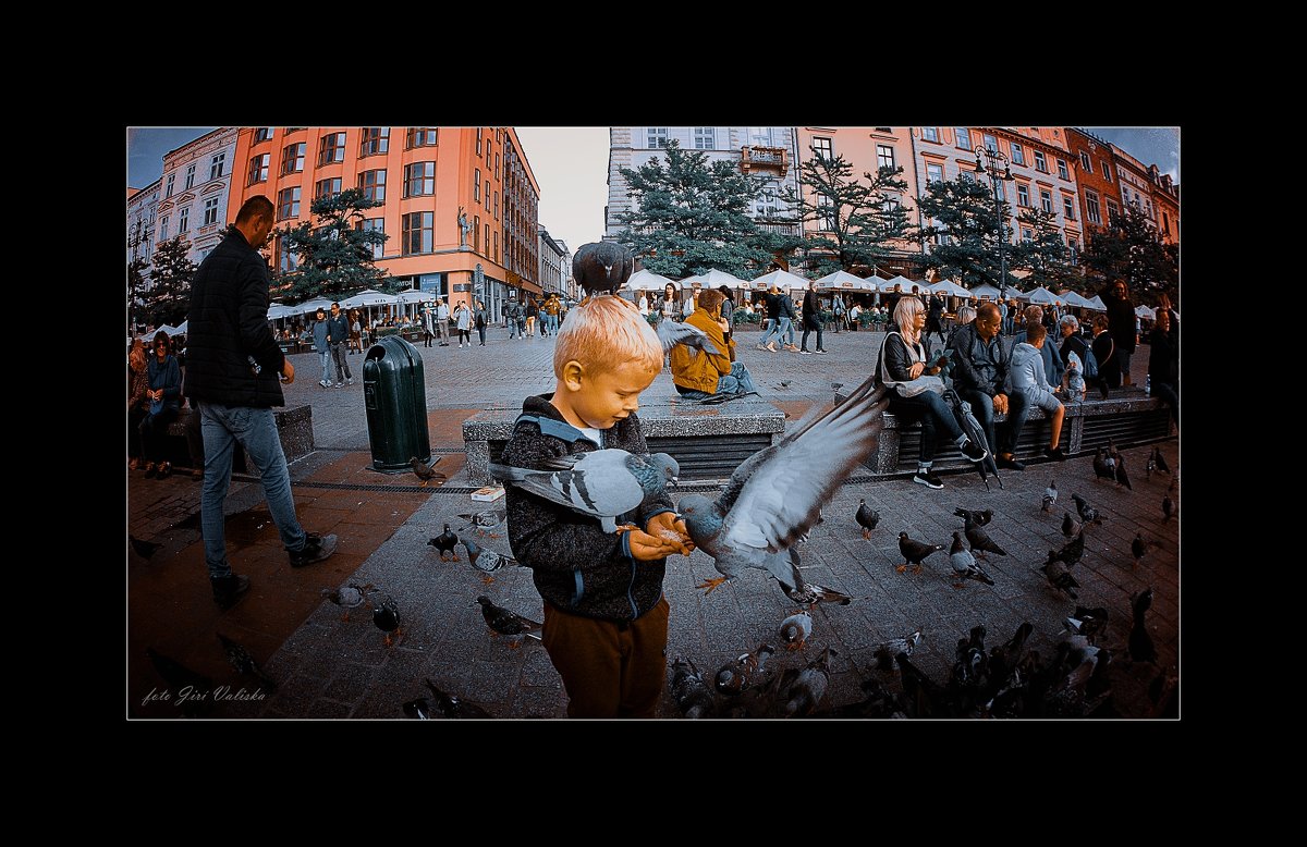 кормление голубей в кракове на площади - Jiří Valiska