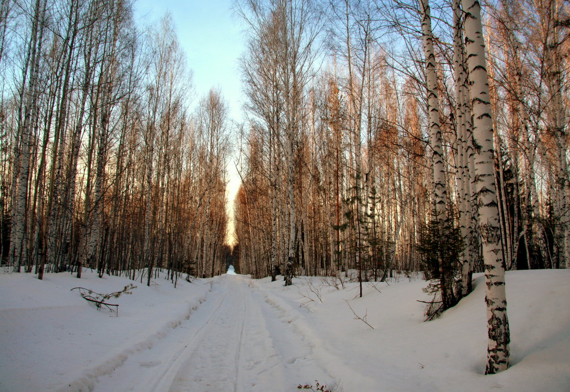 Март в лесу - Нэля Лысенко