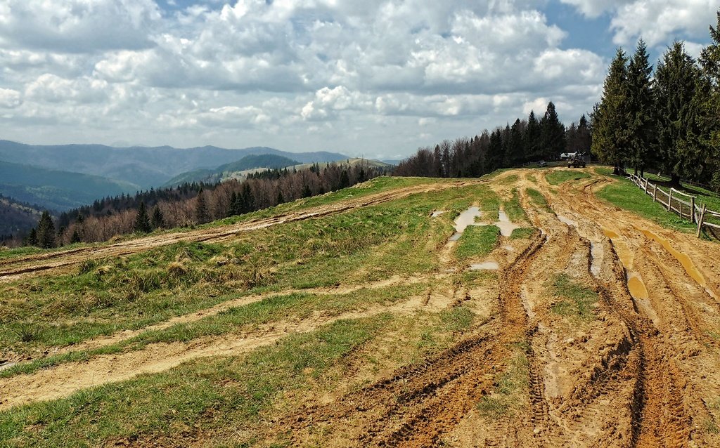 В Карпатах - Роман Савоцкий