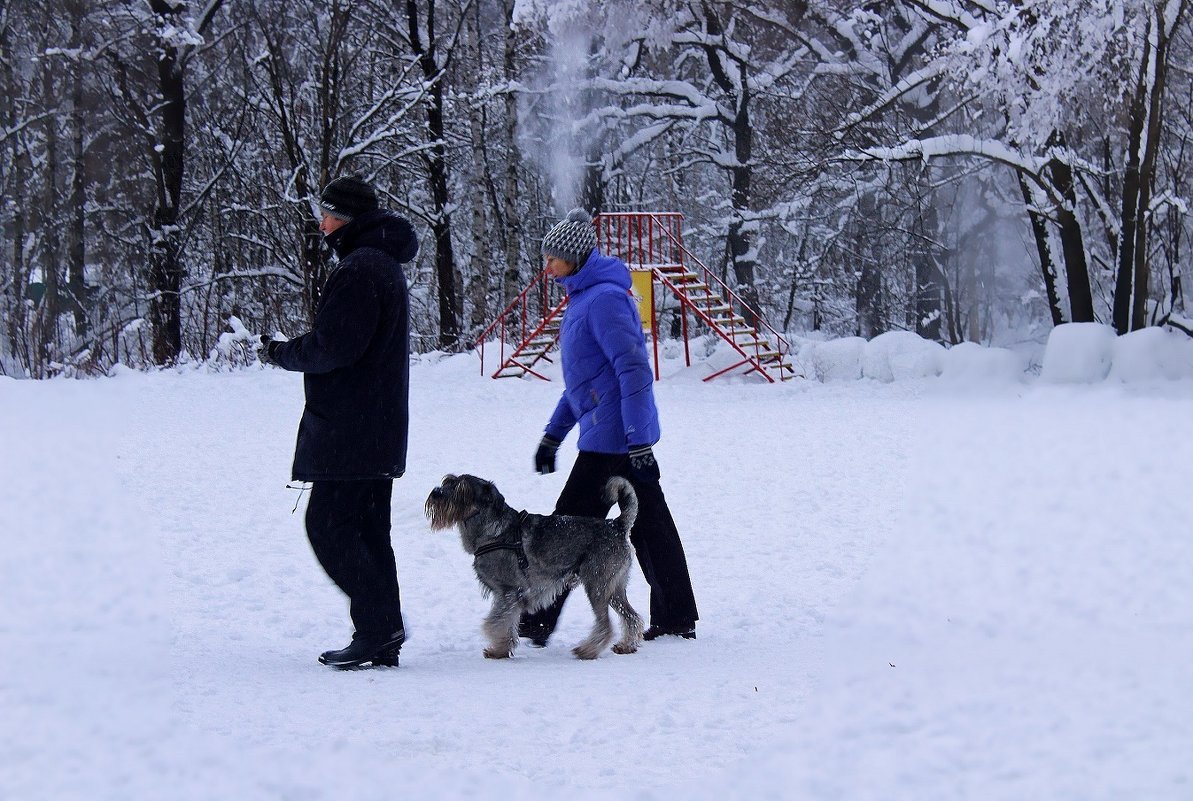 Зимняя прогулка - dindin 