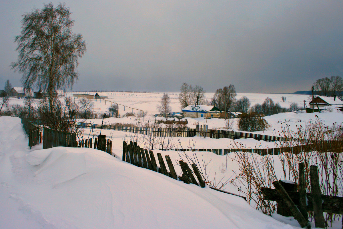 В деревне тишина зимой, лишь слышен лай собак порой... - Евгений Юрков