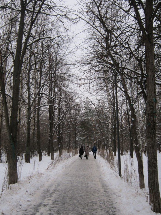 В парке в декабре - Дмитрий Никитин