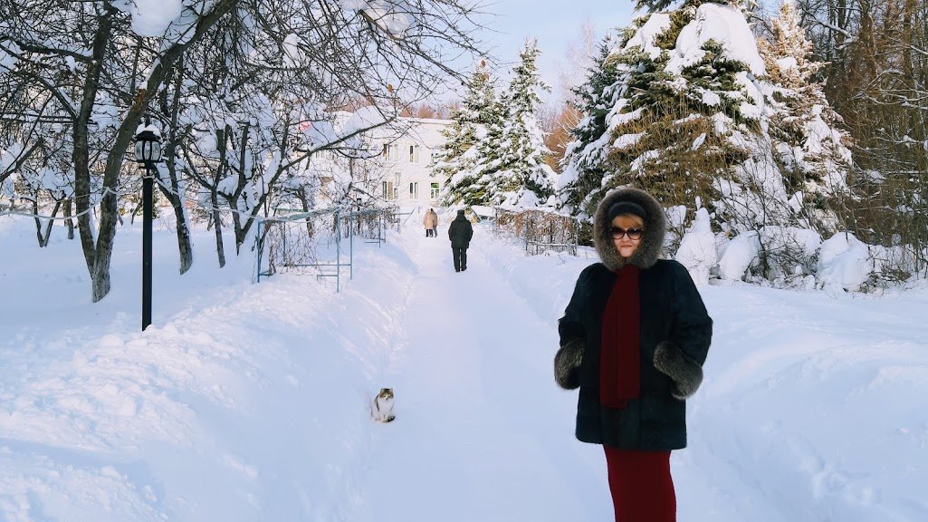 Зима в разгаре - Геннадий Лавринов
