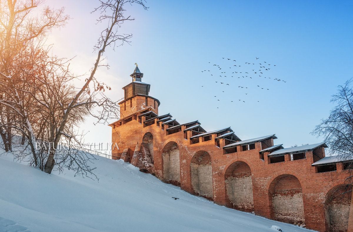 Часовая башня и птицы - Юлия Батурина