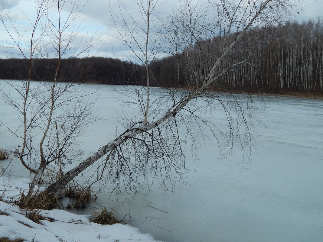 ледяное озеро - Alisa Koteva 
