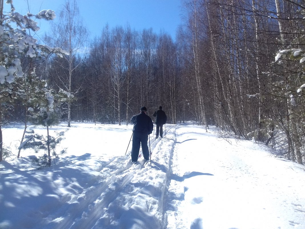 любители лыжного спорта - Владимир 