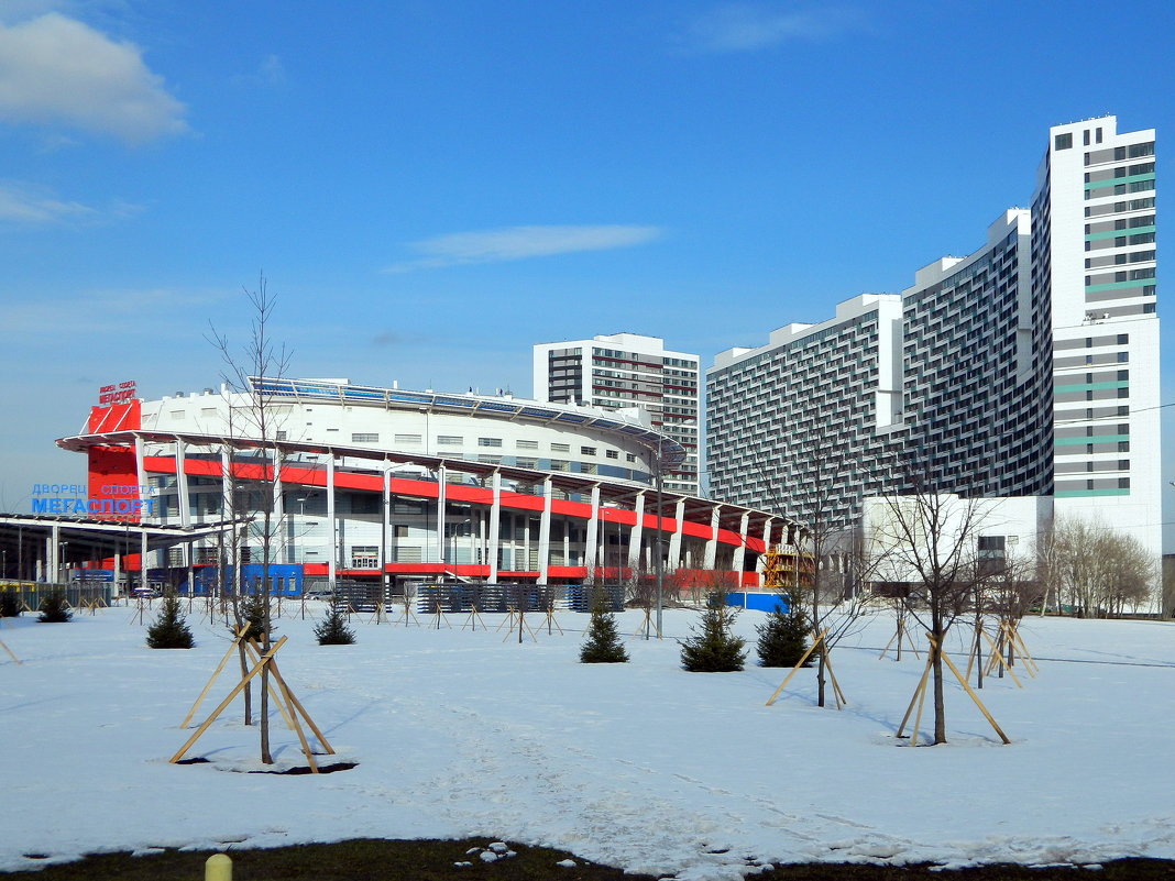 Ледовый дворец "Мегаспорт" - Алла Захарова