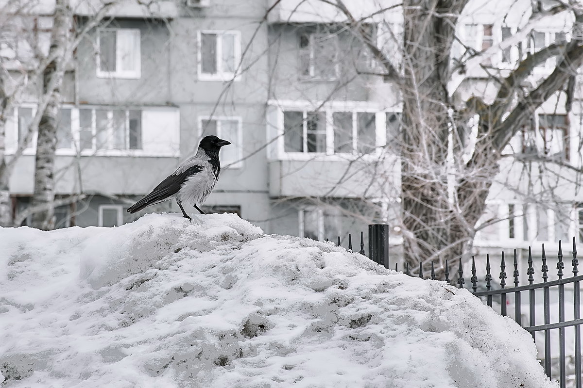 ... - Олег Архипов