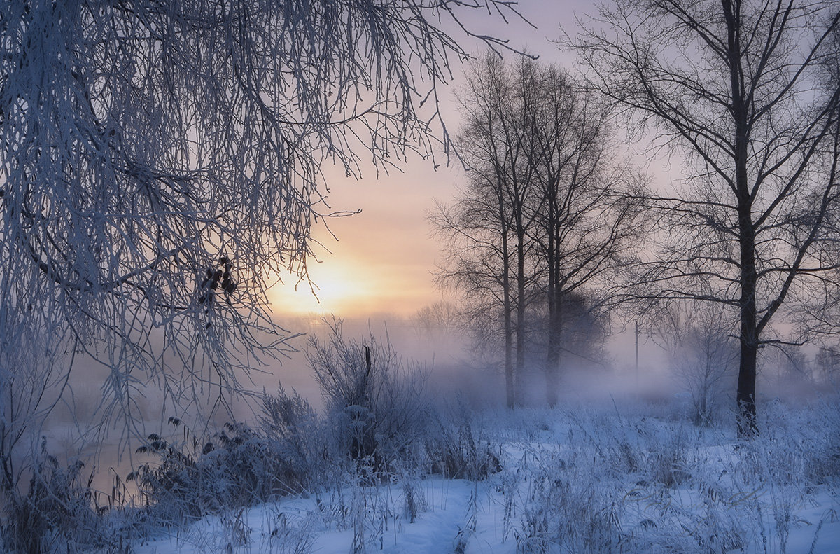 winter morning - Геннадий Ковалев ,