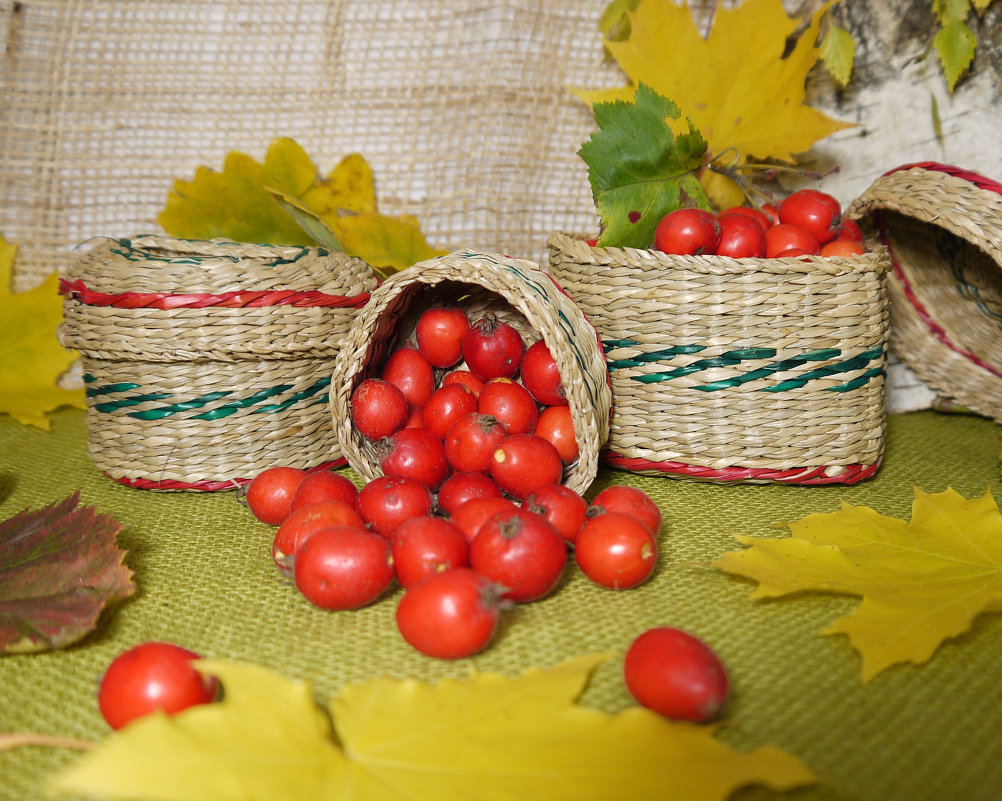 Осенний натюрморт с ягодами боярышника и плетеными шкатулками - Светлана Захаренкова