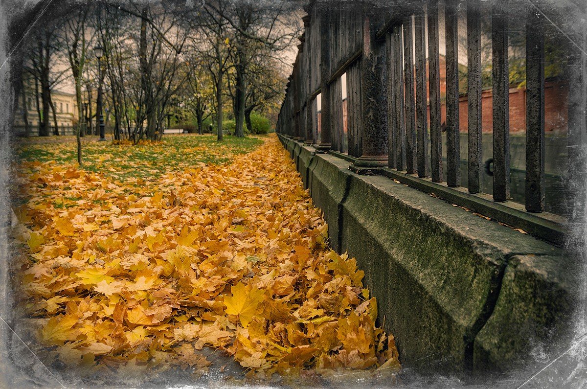 Осенний ковер в Екатерининском парке.. - Григорий Евдокимов