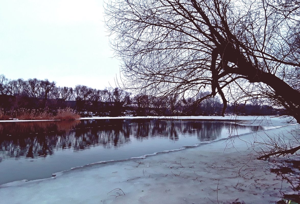 Река Ока в марте. - Борис Митрохин