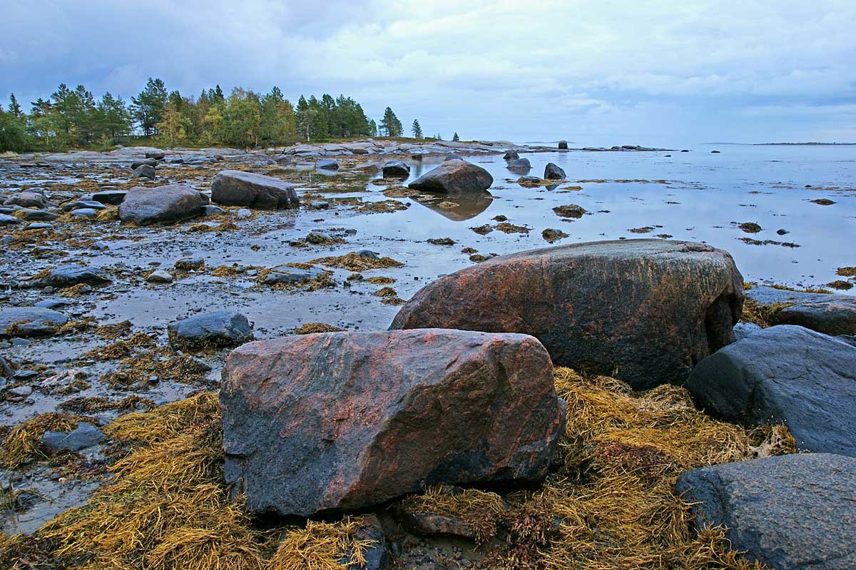 Белое море -отлив - Сергей Курников