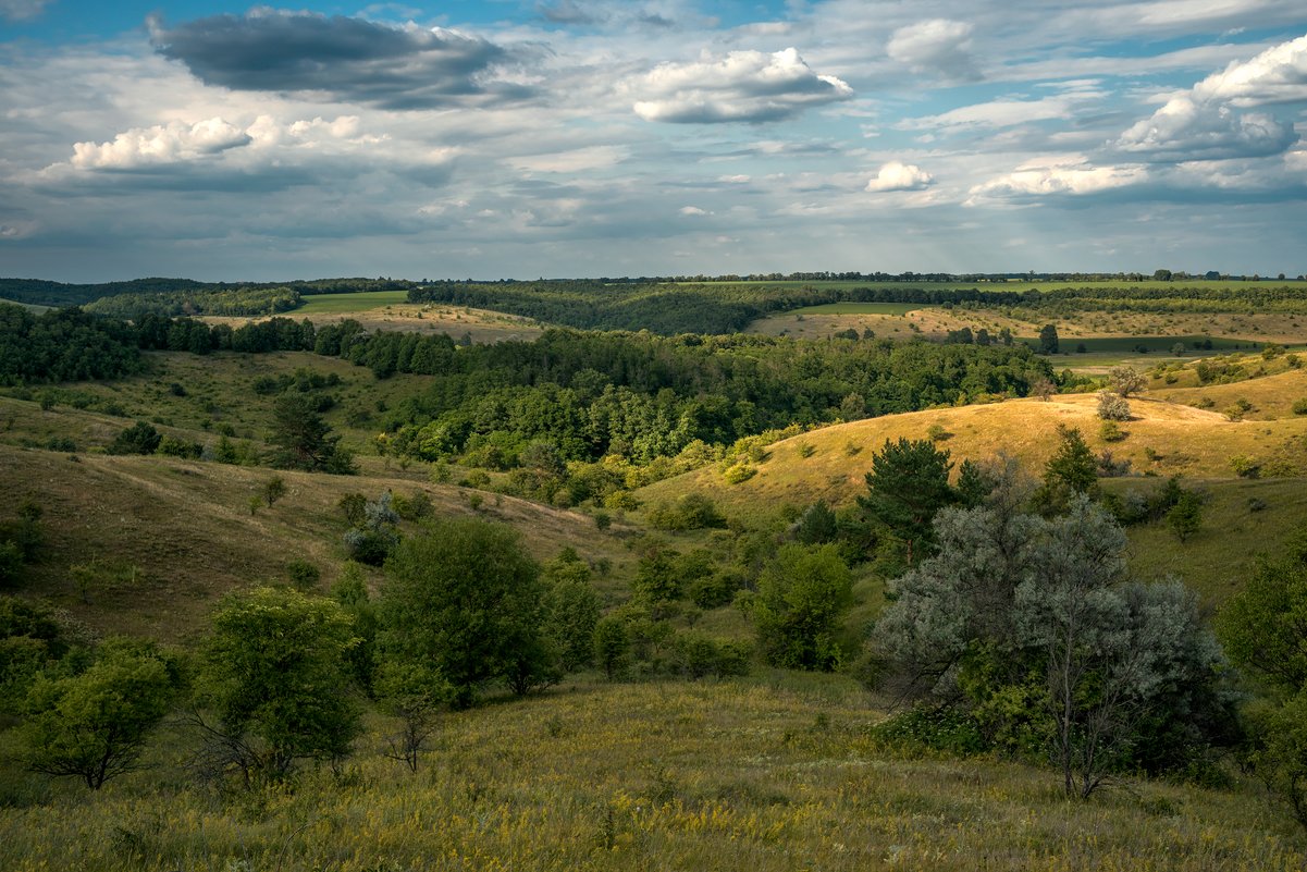 ... - Слава Украине