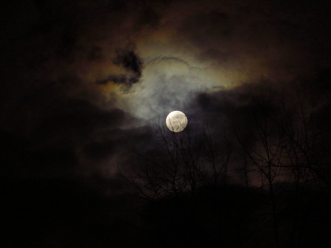 Луна, как бледное пятно, сквозь тучи мрачные желтела - Андрей Лукьянов