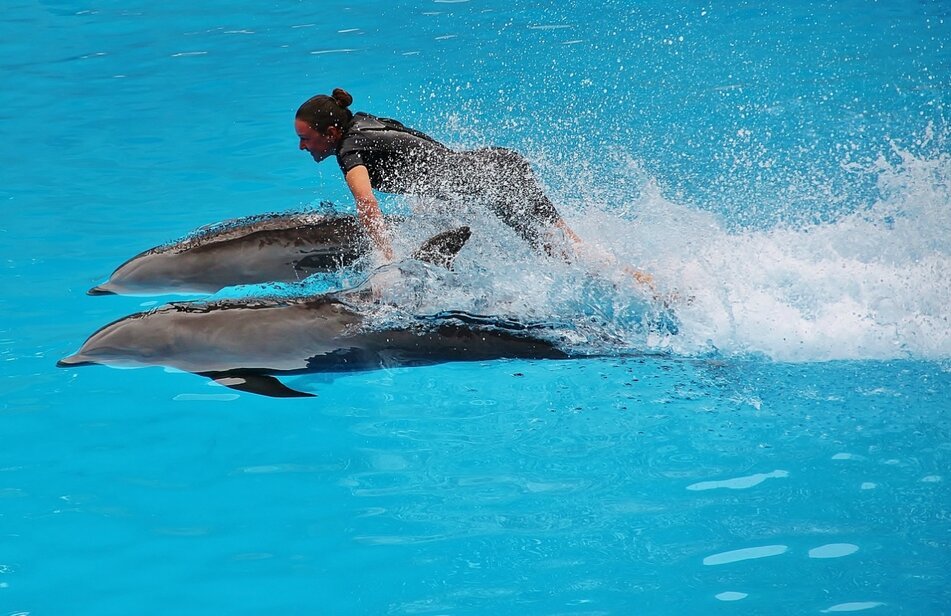 Полёт на дельфинах - Natali Positive
