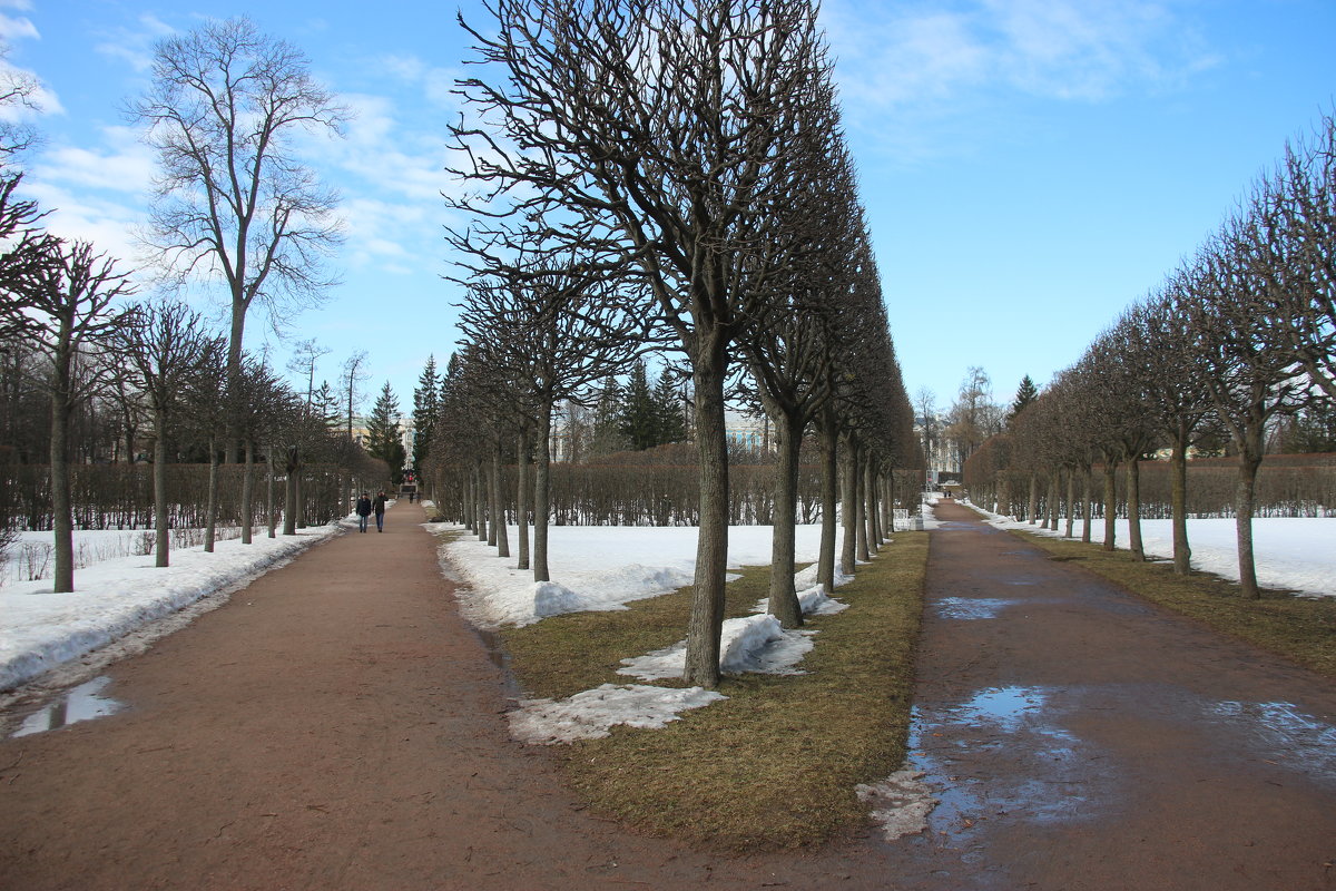 Екатерининский парк. Март - Наталья Герасимова