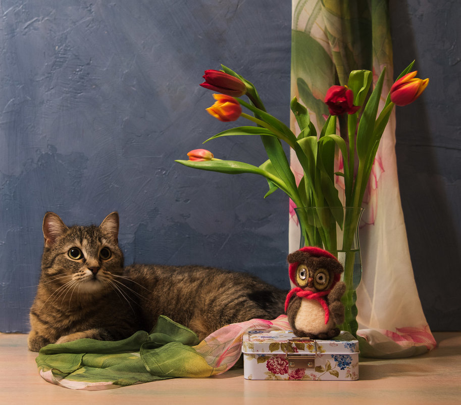 Натюрморт с котом - Ирина 