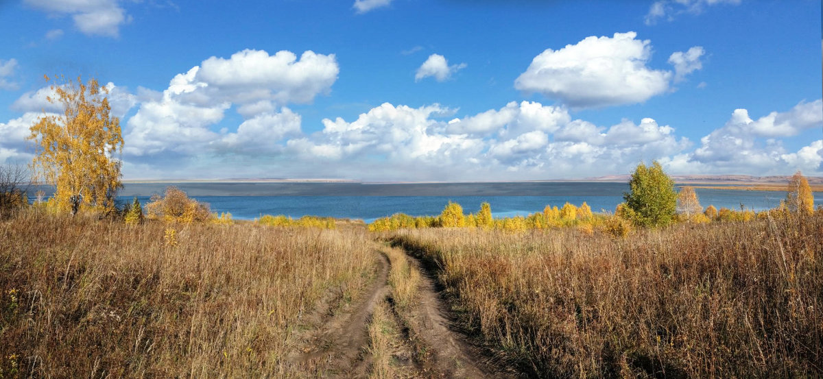 Дорога к озеру - Алексей Мезенцев