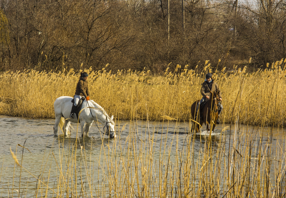 НА ВОДОПОИ - олег добрый