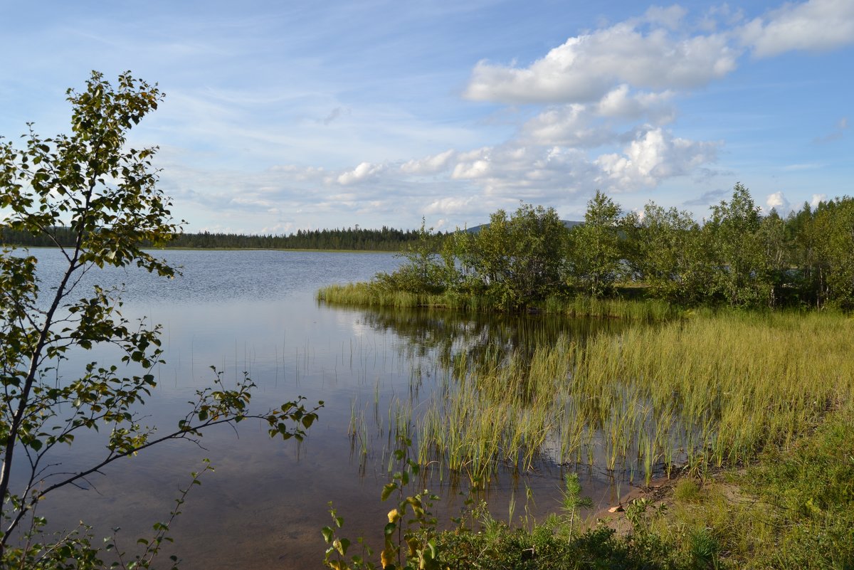 Маленькое озеро - Ольга 